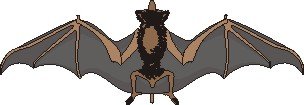 Bats